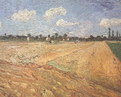 Vincent Van Gogh Ploughed Field (nn04) china oil painting image